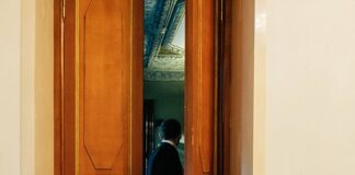 Dirigenza – Accesso – Linee guida