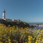 Faro