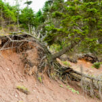 Terrain Landslide