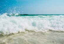 MINISTERO PER LA PROTEZIONE CIVILE E LE POLITICHE DEL MARE – DECRETO 22 maggio 2026