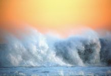 DIPARTIMENTO PER LE POLITICHE DEL MARE – DECRETO 15 aprile 2026
