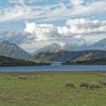 Paesaggio con lago