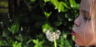 Direttiva Whistleblowing – Segnalazione violazioni