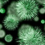 bacteria-426997_1280